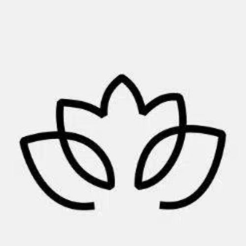 征途国际 Logo